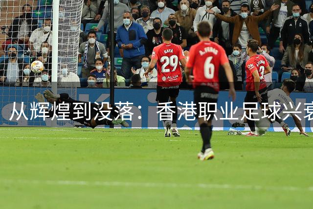 从辉煌到没落：香港职业足球兴衰六十年深度解析