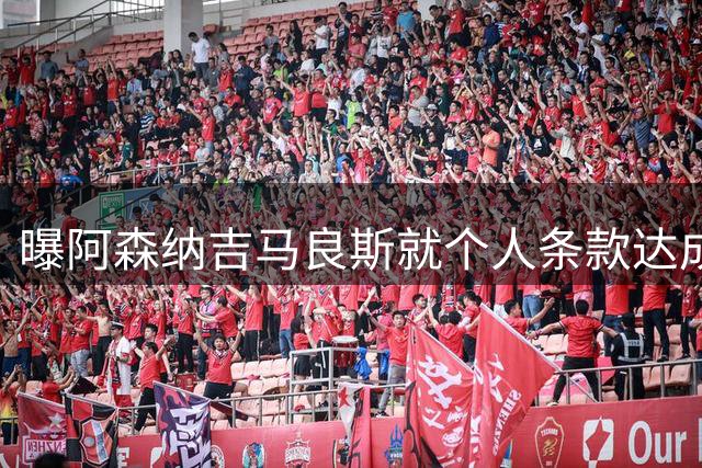 曝阿森纳吉马良斯就个人条款达成一致 纽卡接触葡超中场
